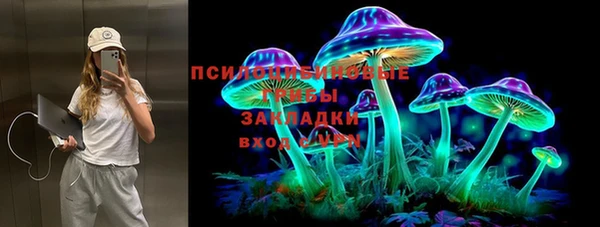 синтетический гашиш Алексеевка