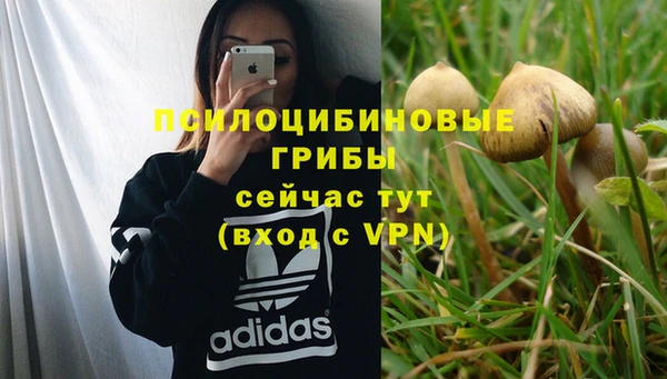 spice Абинск